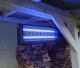 Уничтожитель летающих насекомых мух, комаров, мотыльков Noveen IKN-40 черный до 180 кв.м. - изображение 6