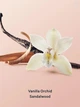 Подарунковий набір Victoria's Secret (спрей 88 мл. та лосьйон 88 мл.) Vanilla Orchid Sandalwood Body Mist & Lotion Gift Set - зображення 2