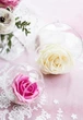 Свічники Party Deco Скляні кулі 10 см 4 шт. (5901157490469) - зображення 4