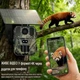 4G фотопастка з сонячною панеллю Suntek MINI900PRO 30MP, 2K/4K, нічне бачення, PIR датчик, SIM + додаток LIVE ONLINE режим - зображення 4