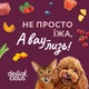 Упаковка додаткового консервованого корму для дорослих котів Delickcious Пластівці з кроликом та тропічними фруктами у вершковому соусі 80 г х 12 шт (D6251501) - зображення 7