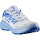 Кроссовки Salomon ALPHAGLIDE 5 Women Ancientwater/Brunnerablue - изображение 3