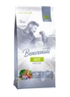 Сухой корм для взрослых котов Benvenuti GATTI с лососем 14 кг (4820235901813) - изображение 1
