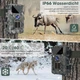 Фотоловушка Nigecue 4K 40МП Army green b1 - изображение 5