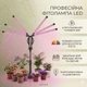 Фитолампа для растений с 6 головками LED по 108 диодов — полный спектр, гибкие держатели, для рассады, цветов и овощей - изображение 2