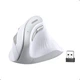 Маніпулятор миша бездротова UGREEN MU008 Multi-mode Vertical Mouse White (UGR-45759) - изображение 3