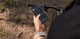 Смарт-часы Amazfit T-Rex 3 Pro 44mm (Black Gold) UA - изображение 13