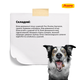 JOSERA Optiness 12,5 кг - Корм з ягнятиною для собак великих порід - изображение 5