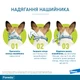 От блох и клещей Elanco Foresto Инновационный ошейник для долговременной защиты Cобак от блох, власоедов, иксодовых клещей 70 см 70 см (46370) - изображение 4