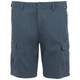 Шорти RuwanShort Regatta RMJ310-20I 33 Синій (5063019712826) - изображение 5