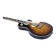 Електрогітара Eko Guitars LS300-HB (Honey Burst) - изображение 3