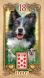 Карти оракул Блискучий Ленорман - Lustrous Lenormand Oracle - зображення 4