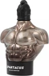 Woda perfumowana męska Armaf Spartacus 100 ml (6295199808122) - obraz 3