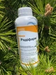 Радифарм Radifarm 1 л Valagro Валагро Италия Биостимулятор укоренитель - изображение 1
