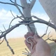 Скоба для фиксации веток, формирования угла роста 1 шт. Серебристый - изображение 5