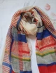 Большой яркий женский шарф палантин с кисточками - изображение 4