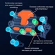 Антивібраційний тримач телефону на кермо мотоцикла квадроцикла Bipinor колір сріблястий (00014) - зображення 6