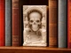 Книжковий куточок book nook вставка на полицю череп у катакомбах. Aivory - изображение 1