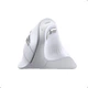Маніпулятор миша бездротова UGREEN MU008 Multi-mode Vertical Mouse White (UGR-45759) - зображення 4