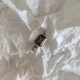 Серебряное кольцо с натуральным раухтопазом (дымчатым кварцем) 1.4ct, вес изделия 3,61 гр (2204374) - изображение 3