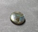 Лабрадорит 16.45 Ct 18.48 х 5.44 мм (2743) - изображение 8