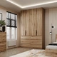 Шкаф распашной комбинированый №10 Light с антресолью 1600x500x2500 Дуб Эвок (GAA1LTK01010000000) - изображение 1