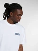 Футболка бавовняна довга чоловіча Dickies Plain City Ss DK0A88JI0WH1 S Біла (800070354615) - зображення 4