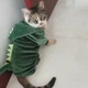 Одежда для кота динозавр RESTEQ размер L, костюм динозавра для кошек, костюм для животных, одежда для питомцев - изображение 7