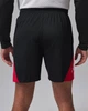 Баскетбольні Шорти Jordan Sport Men's Dri-FIT Shorts(IQ5775-010) XXL Чорний/Червоний - зображення 3