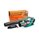 Воздуходувка аккумуляторная Sturmax GBEM2240CR - изображение 5