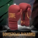 Перчатки боксерские Leone GN059X ED 12 унций Bordeaux (GN059X_BORDEAUX_12oz) - изображение 2