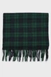 Чоловічий зелений картатий вовняний шарф CHECK WOVEN SCARF Gant OS 9920212 - изображение 2