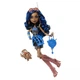 Кукла Monster High Robecca Steam Pet Penguin Captain Penny - Монстр Хай, Ребекка Стим с питомцем пингвином Капитаном Пенни (X6948) - Игровой набор Mattel - изображение 6