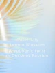 Лосьон для тела Coconut Passion Bliss 236ML VICTORIA'S SECRET - изображение 2