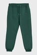 Чоловічі зелені спортивні штани TONAL ARCHIVE SHIELD Gant L 2039023 - изображение 5