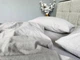 Постільна білизна з резинкою Rock Gray(W1351) варена бавовна Полуторний розмір Стандарт (145х215), наволочки 70/70 - зображення 3