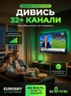 Антенна комнатная эфирная Eurosky ES-008 OMEGA для цифрового телевидения DVB-T/T2 с усилителем 28 дБ UHF/VHF диапазон 470-862 МГц кабель 2м - изображение 4