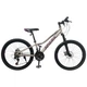 Велосипед SPARK TILL (колеса – 24", алюминиевая рама – 11") серебряный - изображение 1