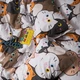 Комплект постельного белья Moon&Star Бязь Gold Люкс Moon Cats Полуторний Євро 160х220наволочки 2х50х70 (MS-820010941) - изображение 5
