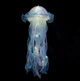 Светильник подвесной Esonstyle Jellyfish lamp AND HA-113, LED, 3 режима, 34 см - изображение 1
