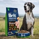Сухий корм Brit Premium з куркою для дорослих собак гігантських порід, 15 кг - зображення 2