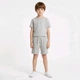 Спортивные серые утепленные шорты для парня Hype kids 134-140 см (9-10Y) - изображение 1