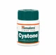 Хималая Цистон 60 таблеток поддержка здоровья почек Himalaya Cystone - изображение 2