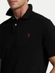 Поло мужское POLO Ralph Lauren PRL-4482BL L - изображение 7