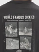 Футболка бавовняна довга чоловіча Dickies Wolfhurst Ss DK0A88QOCH01 M Темно-сіра (800070354671) - зображення 6