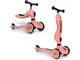 Дитячий самокат Scoot And Ride Highwaykick 1 2w1 Peach - зображення 1