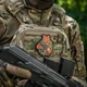 Нашивка Тигр Азов M-Tac PVC 51116322 - изображение 7