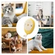 Щетка массажная для ухода за шерстью животных 4 в 1 ПАРОВАЯ Pet comb - изображение 8