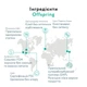Підгузки Offspring розмір S, 3-6 кг, 3 шт. (DP-OI-FTT-S3P) - зображення 7