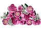 Конструктор LEGO Botanicals Букет розовых роз 789 детали (10374) - изображение 4